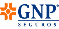 GNP